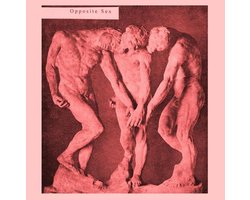 Opposite Sex
