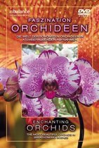 Faszination Orchideen