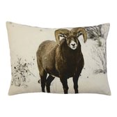 Mars & More Schaap - Sierkussen - 35x45 cm - Bruin/Beige