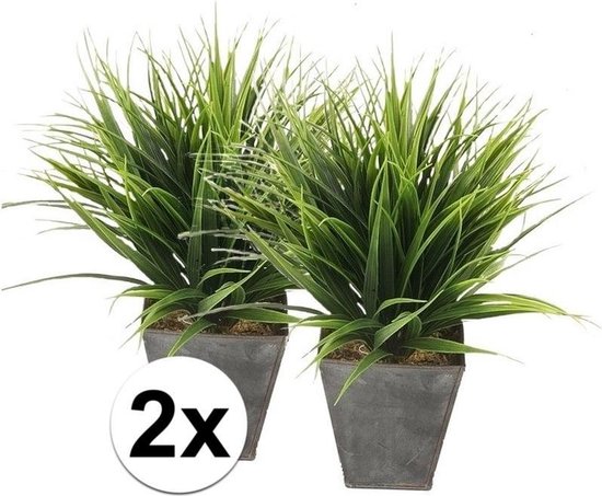 2x Grasplant in zwarte zinken pot 30 cm - Kamerplant kunstplanten/nepplanten  | bol.com