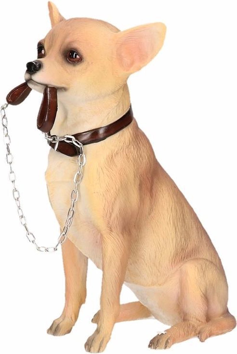 Beeldje Chihuahua hond met riem 18 cm | bol.com