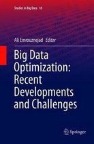 Studies in Big Data- Big Data Optimization: Recent Developments and Challenges