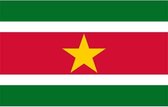 Surinaamse vlag, vlag van Suriname 90 x 150