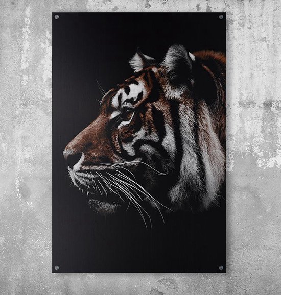 plan leerboek Bedrijfsomschrijving Poster tijger op aluminium | bol.com