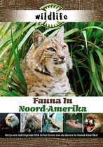 Wildlife - Fauna In Noord-Amerika