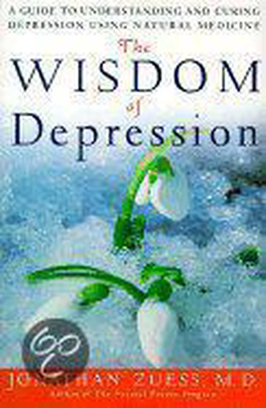 The Wisdom of Depression - cover