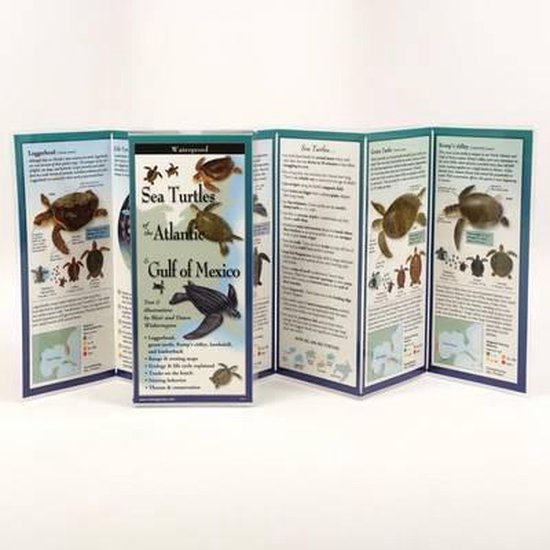 Sea Turtles of the Atlantic & Gulf of Mexico | bol.com