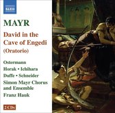 Simon Mayr Chorus And Ensemble, Franz Hauk - Mayr: David In The Cave Of Engedi (2 CD)