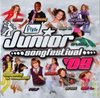 Various Artists - Junior Song Festival 2009