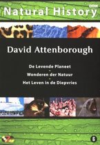 David Attenborough Box