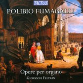 Giovanni Feltrin - Opere Per Organo . Organ Works (CD)