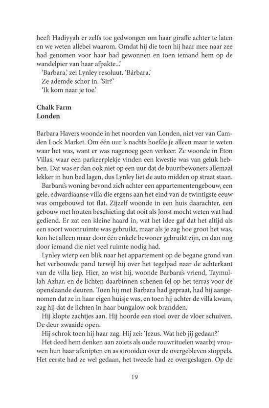 Pagina 19 met tekst over de plot van het boek.