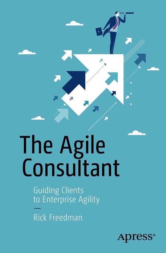 Business and Management (R0) - The Agile Consultant - cover