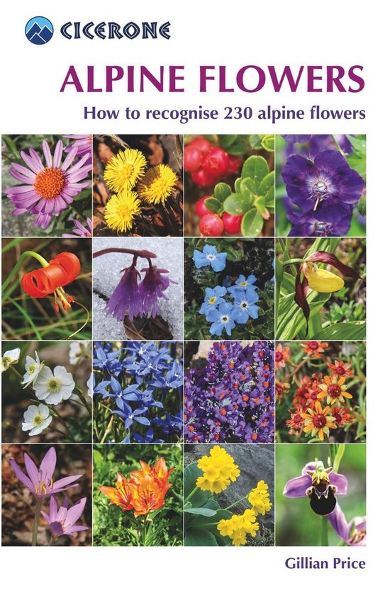 Alpine Flowers - cover