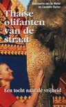 Thaise Olifanten Van De Straat