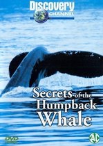 Secrets Of The Humpback Whale