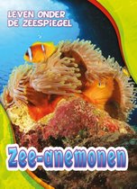 Leven onder de zeespiegel  -   Zee-anemonen