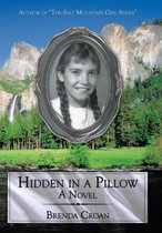 Hidden in a Pillow