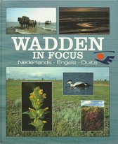 Wadden in focus