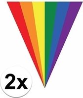 2x Gay pride regenboog slingers 5 meter - Vlaggenlijnen - LHBT thema artikelen