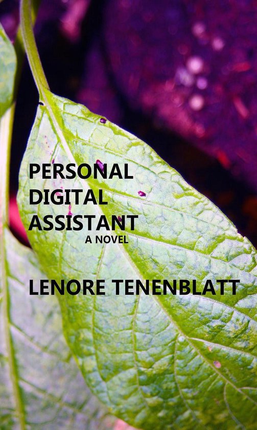Personal Digital Assistant