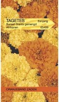 Oranjebandzaden -  Tagetes, Afrikaan Sunset Giants gemengd