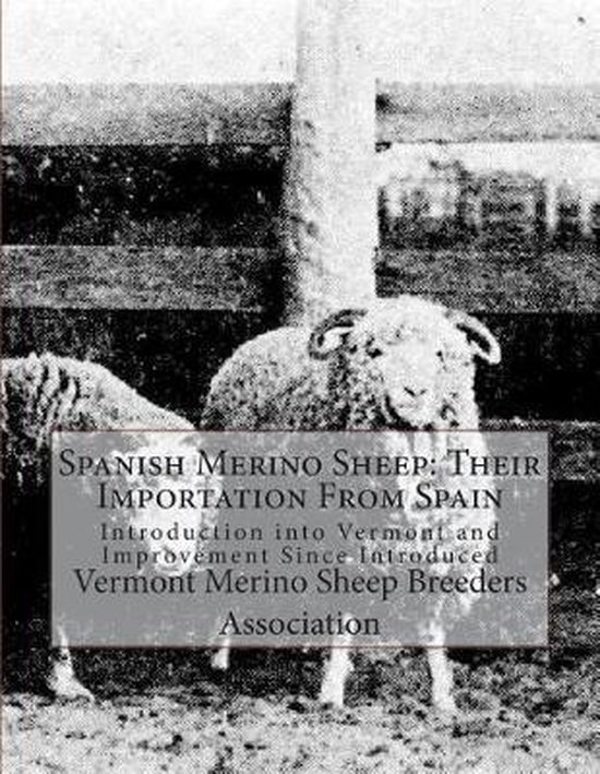 Spanish Merino Sheep, Vermont Merino She Breeders Association