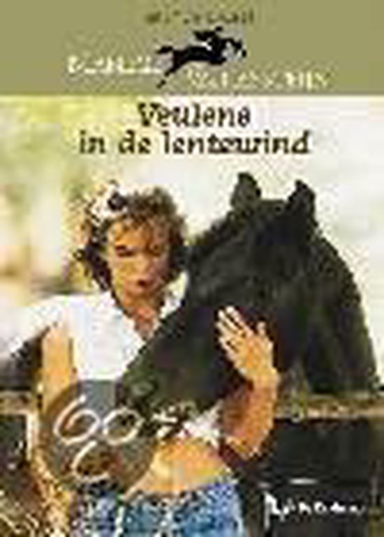 Cover van het boek 'Manege Valkensteijn / Veulens in de lentewind' van Birgit van Damsen
