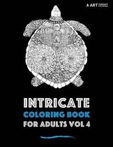 Intricate Coloring Book For Adults Vol 4