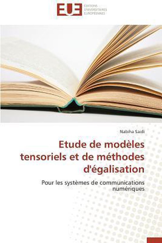 Etude de Mod�les Tensoriels Et de M�thodes d'�galisation