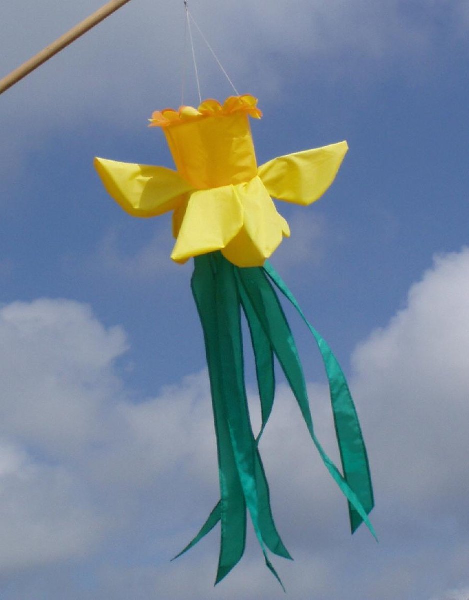 Didak Beach Windzak 3D Narcis - 100x35 cm