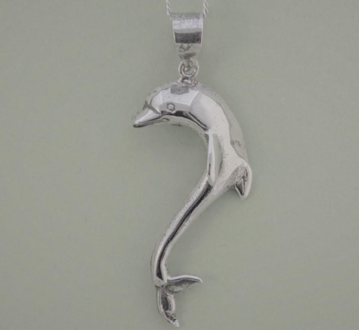 Zilveren hanger dolfijn