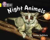 Night Animals