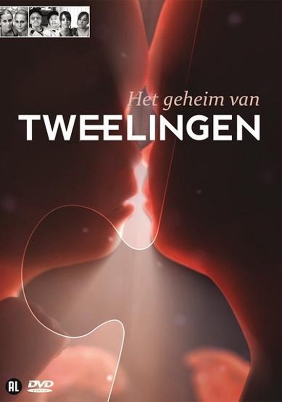 Cover van de film 'Geheim Van Tweelingen'