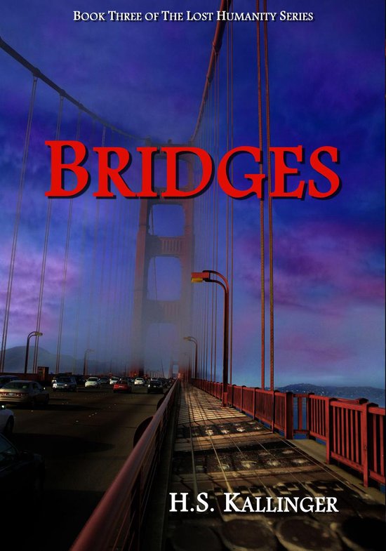 Omslag van Bridges