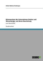 Bilanzanalyse der Unternehmen Polytec und Wienerberger und deren Beurteilung