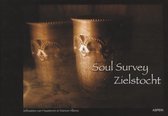 Soul Survey / Zielstocht