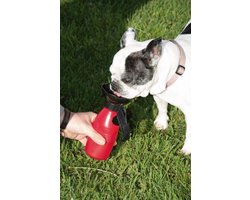 Starlyf Doggy Bottle Honden Waterfles