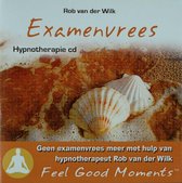 Rob Van Der Wilk - Examenvrees. Geen Examenvrees Meer (CD)