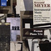 Various Artists - Krzysztof Meyer: Instrumental Music (CD)