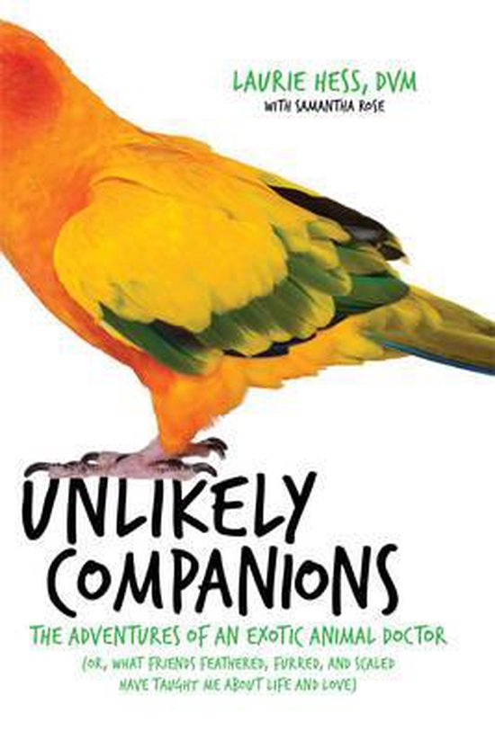 Unlikely Companions - cover