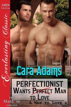 A Man to Love 2 - Perfectionist Wants Perfect Man to Love