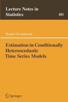 Estimation In Conditionally Herteroscedastic Time Series Models
