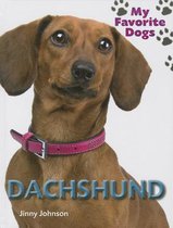 My Favorite Dogs- Dachshund