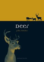 Animal - Deer