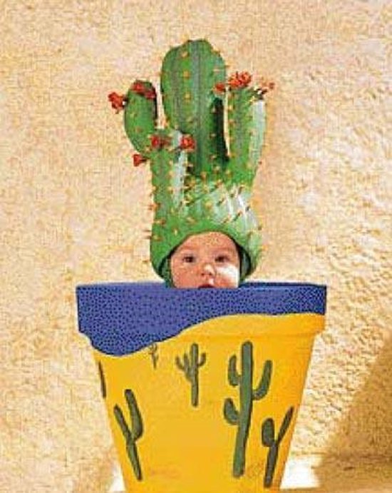 Cactus pot Anne Geddes miniatuur