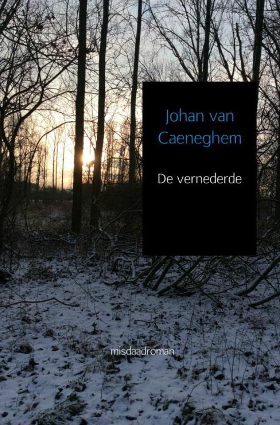 De vernederde - cover
