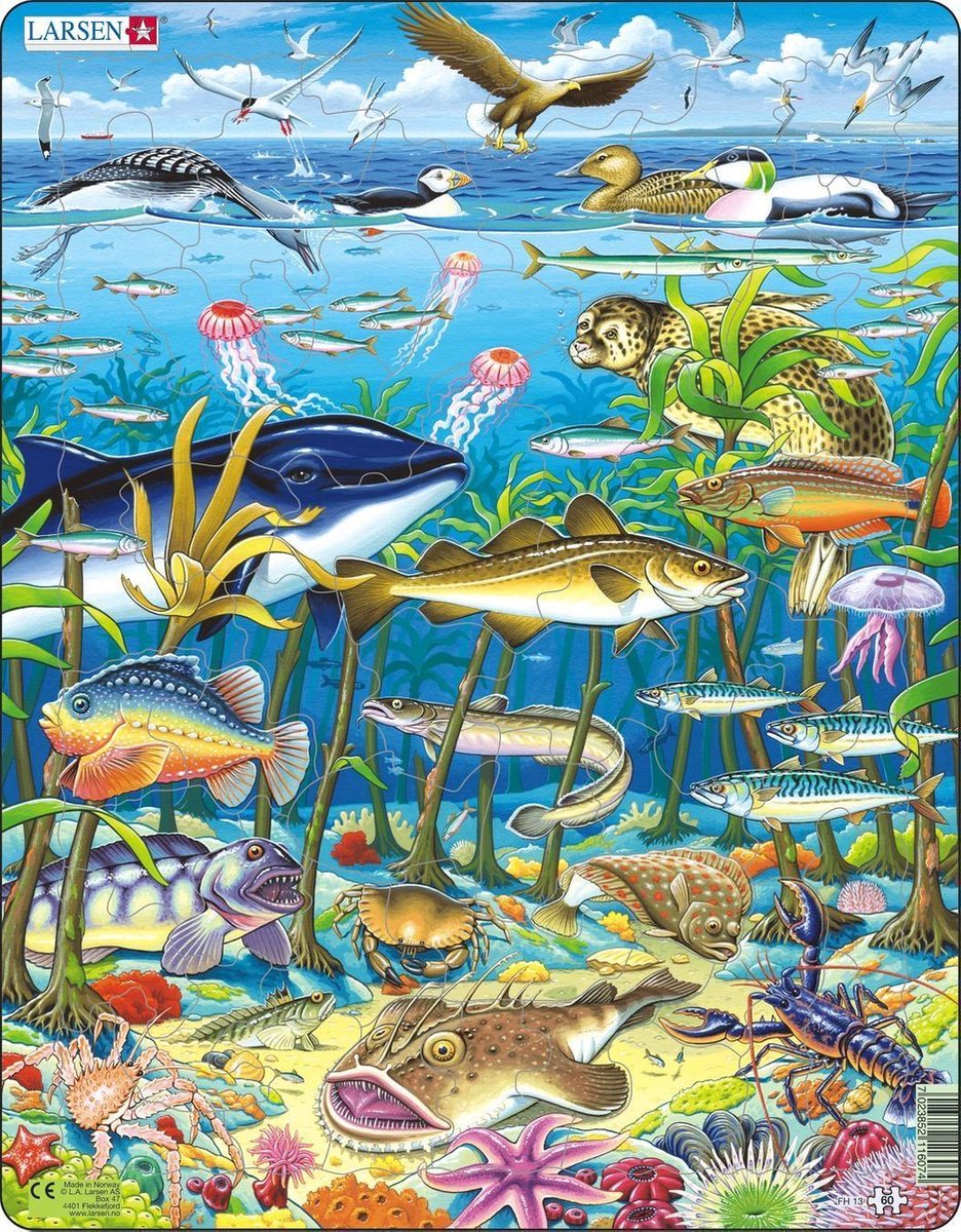 Larsen zeedieren in de noord atlantische oceaan - puzzel - dieren - zeedieren - educatieve legpuzzel voor kinderen - 60 stukjes - gemaakt in noorwegen - extra dikke 2,5 mm stukjes - tray met vaste rand