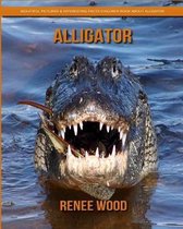 Alligator