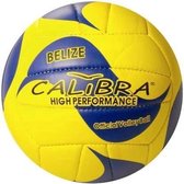 Calibra Beachvolleybal Belize Geel/blauw Maat 5